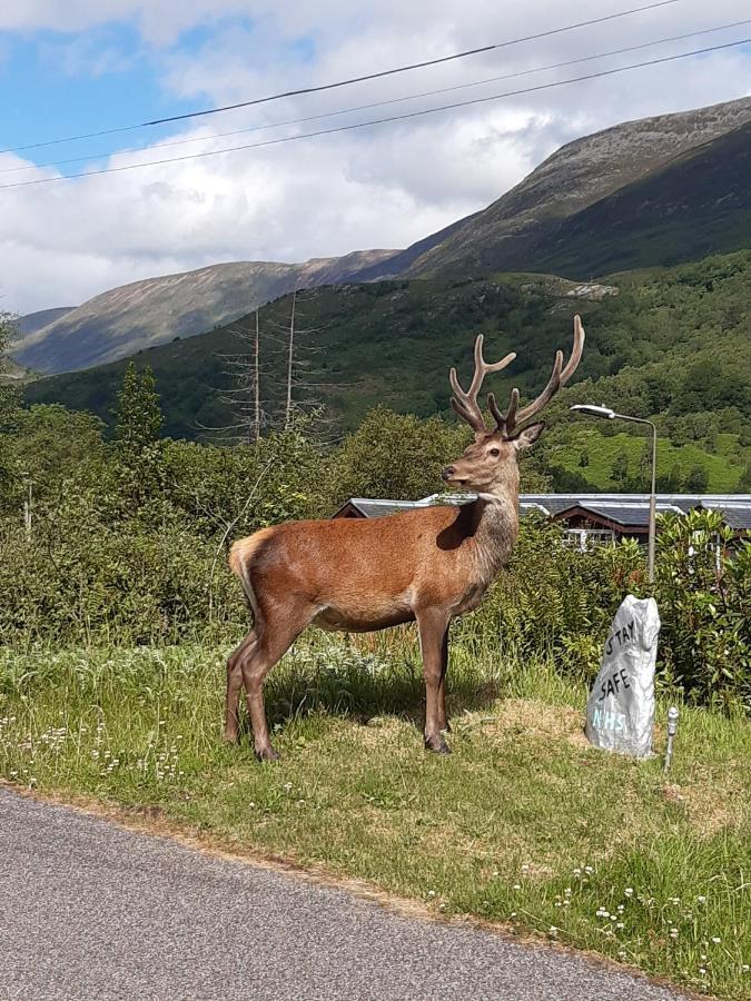 Etive Pod En Suite Glamping Kinlochleven Exterior foto