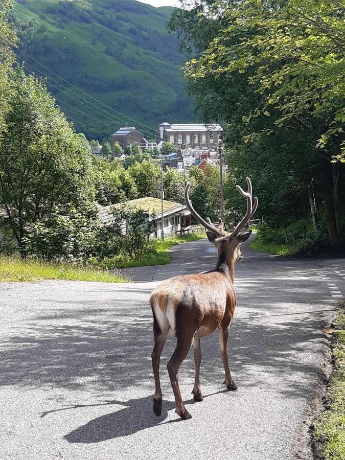 Etive Pod En Suite Glamping Kinlochleven Exterior foto